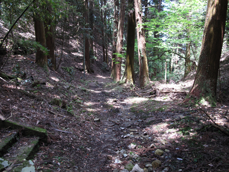 20140524hike (131)